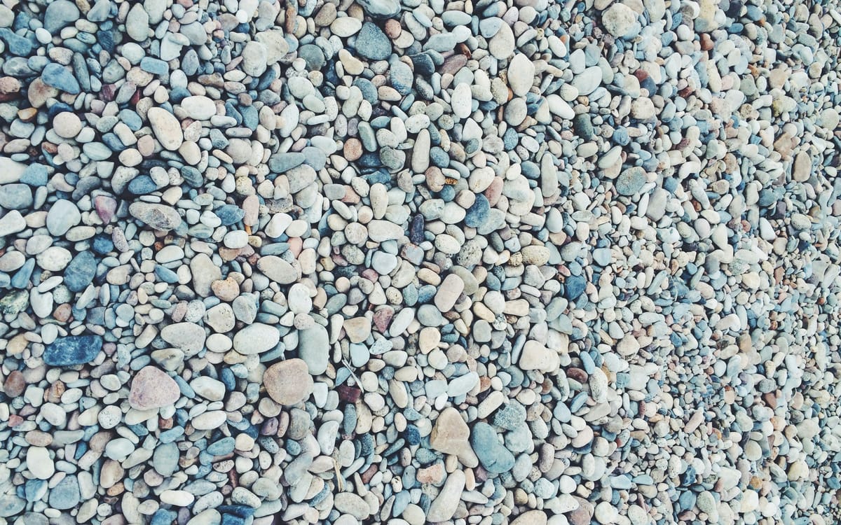A White Woman's Reflections on Privilege and Allyship